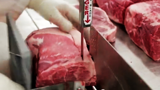 meat cutting blades video